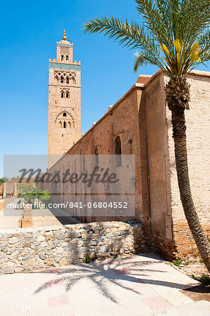 Katoubia Mosque and palm tree in Djemaa El Fna, the famous square in Marrakech, Morocco, North Africa, Africa Katoubia Mosque and palm tree in Djemaa El Fna, the famous square in Marrakech, Morocco, North Africa, Africa