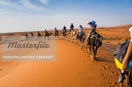 Tourists on a camel ride in Erg Chebbi Desert, Sahara Desert near Merzouga, Morocco, North Africa, Africa