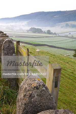 Gate in stone wall and field, near Burnsall, Yorkshire Dales National Park, Yorkshire, England, United Kingdom, Europe