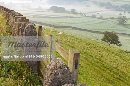 Gate in stone wall and field, near Burnsall, Yorkshire Dales National Park, Yorkshire, England, United Kingdom, Europe