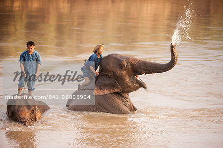 Four Seasons Elephant Camp, North Thailand, Southeast Asia, Asia