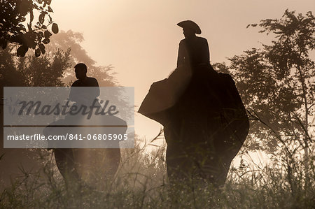 Elephants and riders, Golden Triangle, Thailand, Southeast Asia, Asia