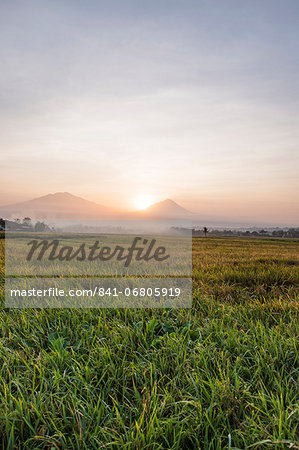 Rice fields and volcanoes, Java, Indonesia, Southeast Asia, Asia