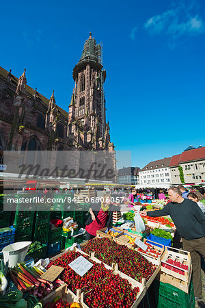 Saturday market, Freiburg Cathedral, Freiburg, Baden-Wurttemberg, Germany, Europe