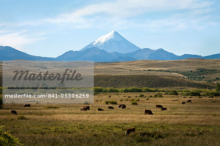 View over Lanin volcano, Lanin National Park, Patagonia, Argentina, South America