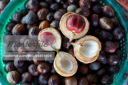 Male and female nutmegs, rind split open to reveal mace wrapped round nutmegs inside, Penang, Malaysia, Southeast Asia, Asia