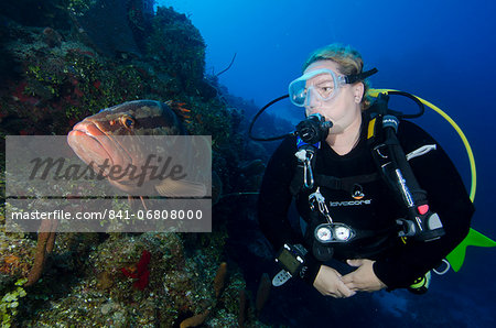 Diver meeting local grouper in the Turks and Caicos, West Indies, Caribbean, Central America