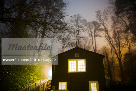 Glowing Foggy Trees over House with Lights On at Night, Macon, Georgia, USA