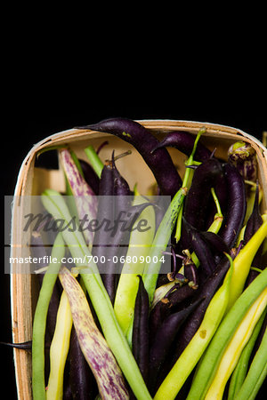 Close-up of variety of fresh picked peas in basket on black background, Jeffersonville, Georgia, USA