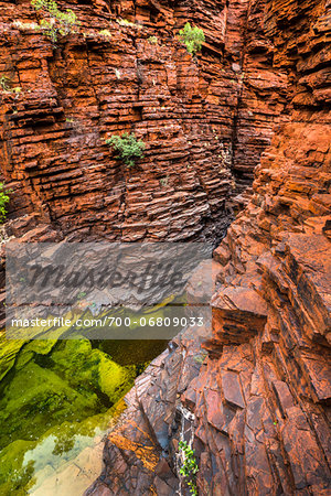 Joffre Gorge, Karijini National Park, The Pilbara, Western Australia, Australia