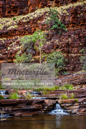 Dales Gorge, Karijini National Park, The Pilbara, Western Australia, Australia Dales Gorge, Karijini National Park, The Pilbara, Western Australia, Australia