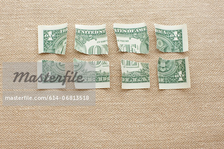 One dollar bill cut into eight pieces
