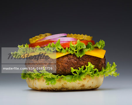 Burger with top missing