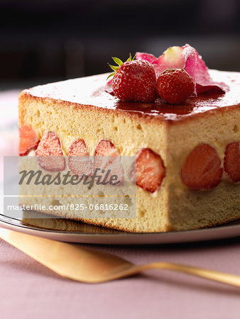 Fraisier Fraisier