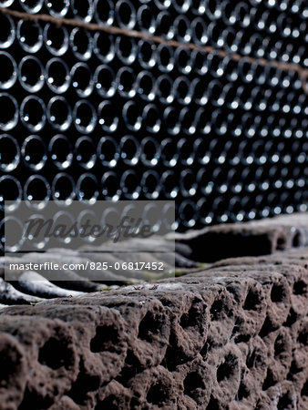 Rows of  vintage bottles of wine in a cellar