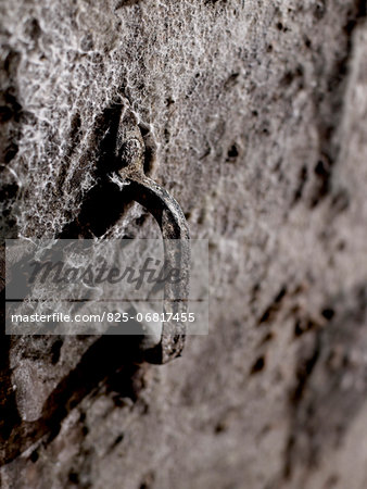 Door handle in a humide wine cellar