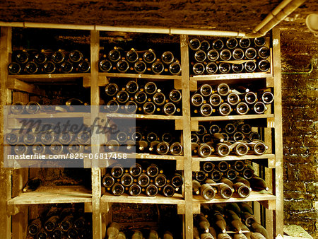 Wine bottles stored in a cellar