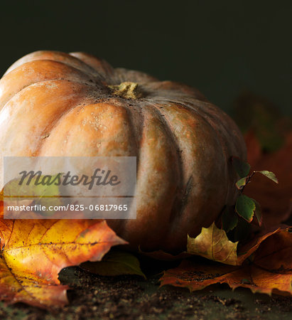 Composition with a pumpkin and autumn leaves