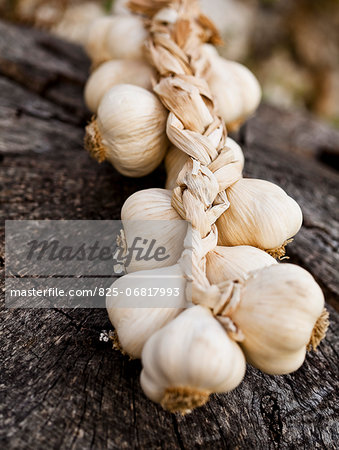 Braid of garlic
