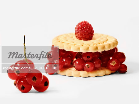 Crunchy biscuits with fresh redcurrants and raspberries