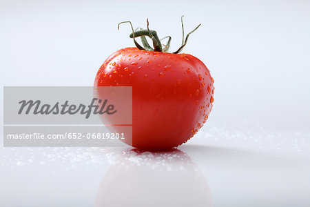 Tomato on a white background