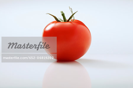 Tomato on a white background