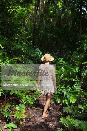 Dominica, Bense. Hiking to La Chaudiere Pools. (MR).