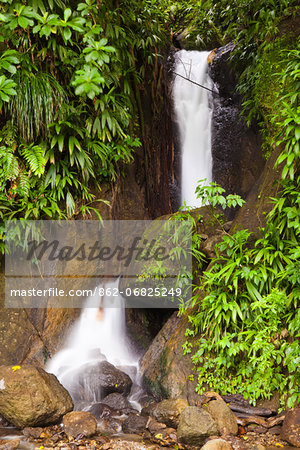 Dominica, Roseau. Waterfall at Papillote Wilderness Retreat.