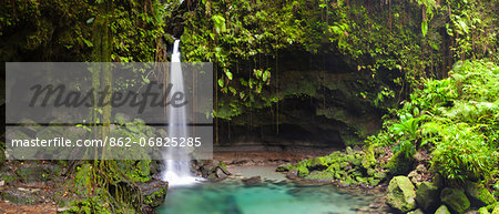 Dominica, Castle Bruce. Emerald Pool, one of the most popular tourist attractions of Dominica.