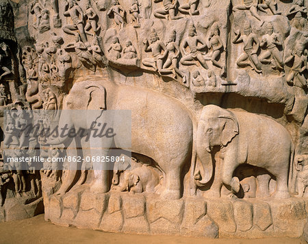 Asia, India, Tamil Nadu. Mahabalipuram (Mamallapuram).  Bhagiratha's Penance, Descent of the Ganga, sometimes referred to as Arjuna's Penance.