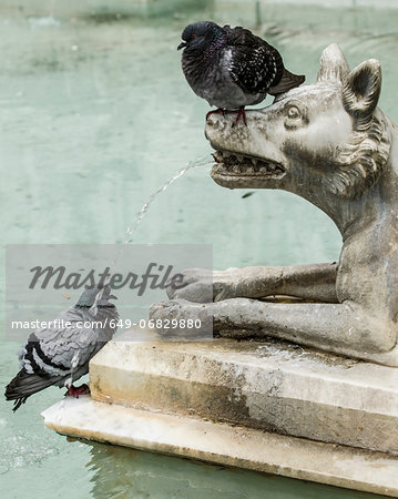 Fountain of Joy close up detail, Siena, Italy