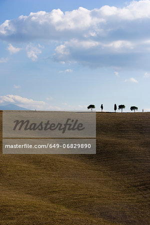 Bare fields with cypress trees on horizon, Tuscany, Italy