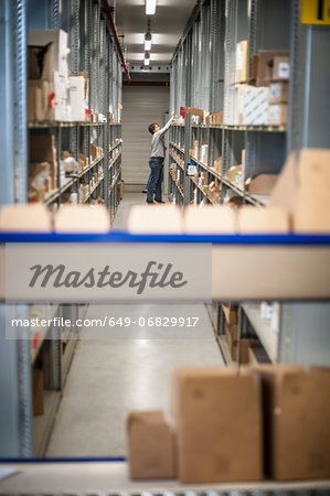 Female warehouse worker collecting orders from shelves
