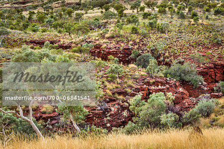 Oxer Lookout, Karijini National Park, The Pilbara, Western Australia, Australia