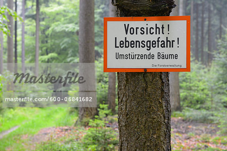 Danger sign, Fallen Trees, Forest, Spessart, Bavaria, Germany, Europe