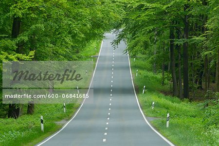 Road through beech forest, Spessart, Bavaria, Germany, Europe Road through beech forest, Spessart, Bavaria, Germany, Europe