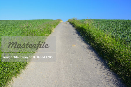 Road through grain field, Hesse, Germany, Europe