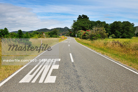 Country Road, Puponga, Collingwood, South Island, Tasman, New Zealand