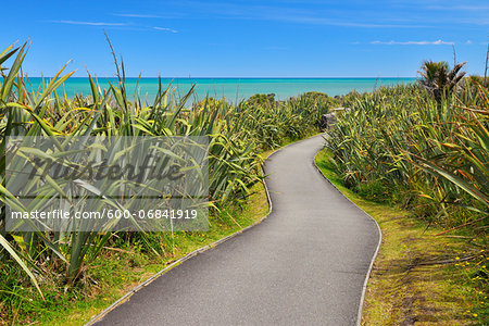 Footpath in Summer, Pancake Rocks, West Coast, South Island, New Zealand