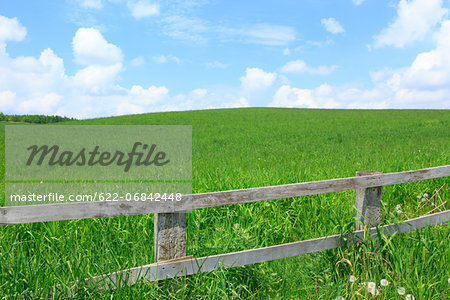 Grassland and blue sky with clouds, Hokkaido