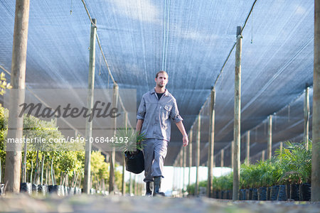Plant nursery worker carrying plant