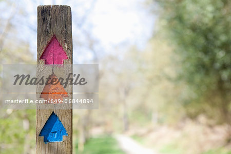 Colourful direction arrows in forest