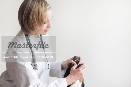 Female veterinarian examining dogs mouth