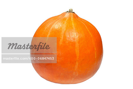 Ripe orange pumpkin isolated on white