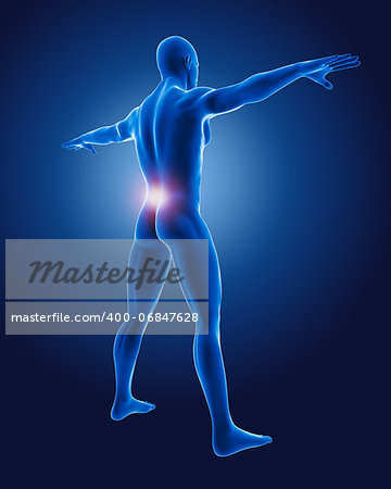 3D render of a male medical image with lower back highlighted