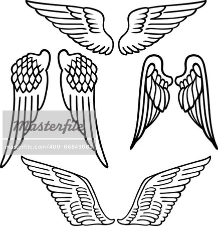 Vector illustration of angel wings isolated on white background