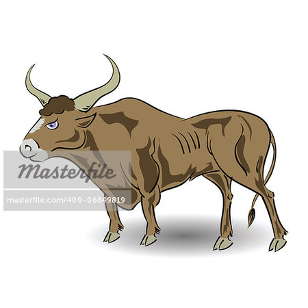 colorful illustration with  bull  for your design