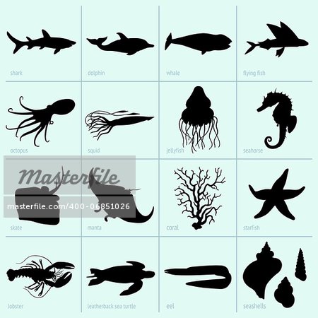 Set of sea animals