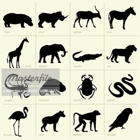 Set of Africa animal icons