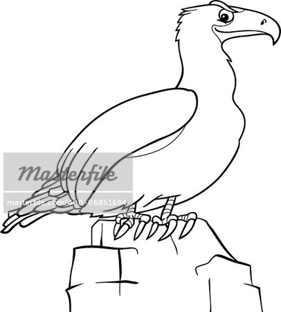 Black and White Cartoon Illustration of Eagle Bird for Coloring Book